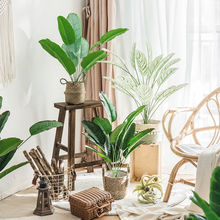 ���W�͏d����Gֲ�����[���ٻ�ins�L�b�С��������[�O����