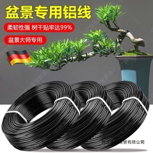 盆景造型铝丝家用园艺铁丝铝线蟠扎定型花卉植物扎绑盆栽丝线