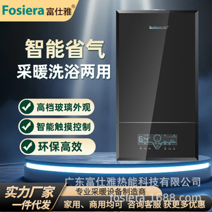 Household Gas Heating Stove Natural Gas Wall-Mounted Heating and Hot Water Dual-Use Wall-Mounted Energy-Saving Gas Wall-Mounted Heater