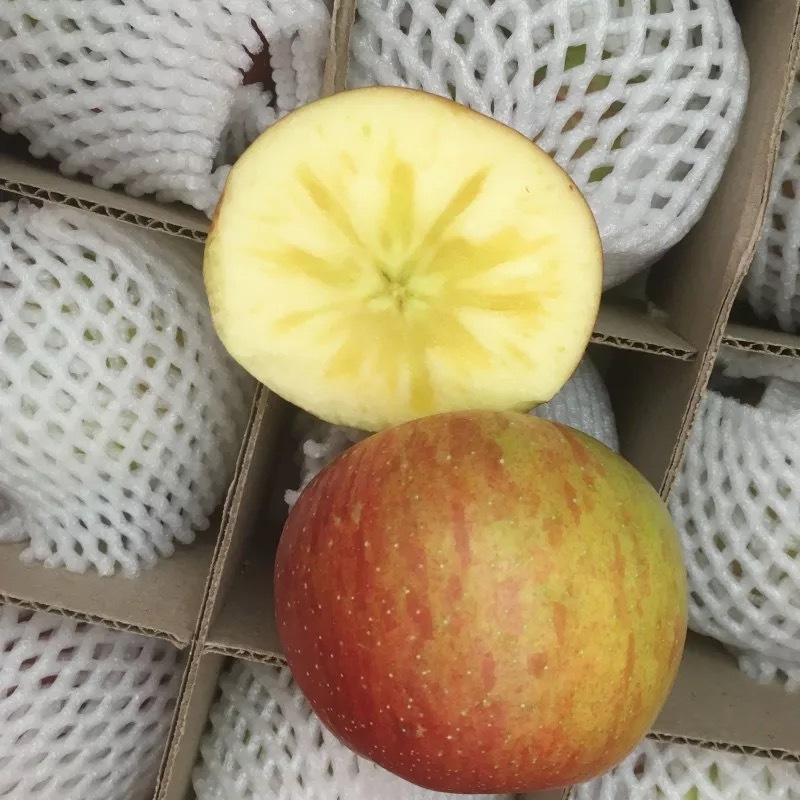 微信图片_201908270818599