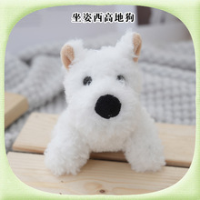 ɫߵعż܇d[ʲССżץCl