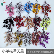 ��֦�M���� С�����M���� �羳���Q���l���� �҃ș����쾰���滨