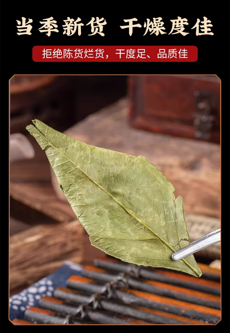 Dried Kumquat Leaf Jin Ju Ye 50g Pack Natural Sun Dried Loose Herb for Traditional Herbal Tea and Decoction preparation