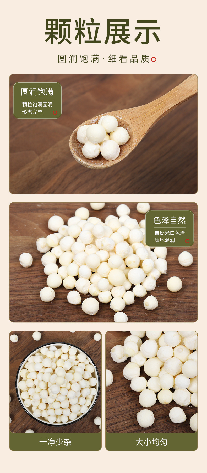 Dried Gorgon Fruit Seeds Qian Shi 500g Suzhou Euryale Seeds for Soup and Congee quality and texture