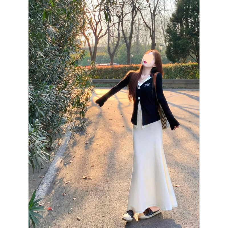 套装女2025春季新款韩系高级感假两件上衣高腰显瘦半身裙两件套|undefined