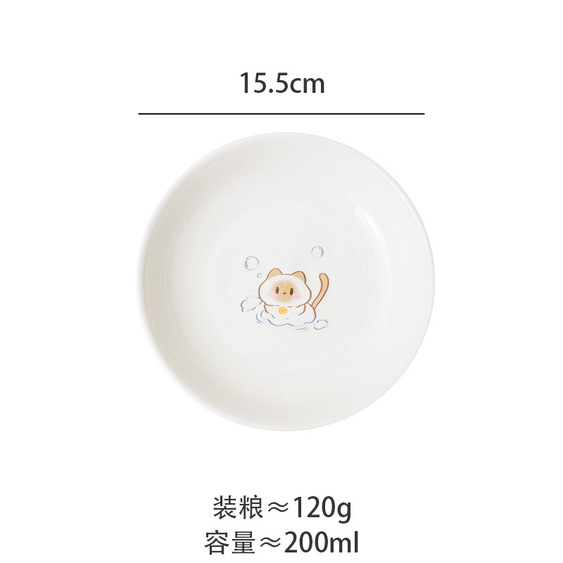 거품 고양이