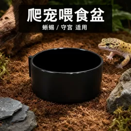 鱼缸;造景石;造景/装饰