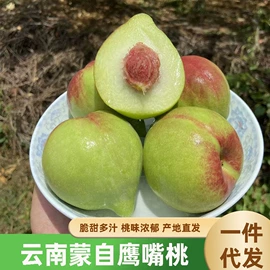 块茎类;瓜果类;其他蔬菜