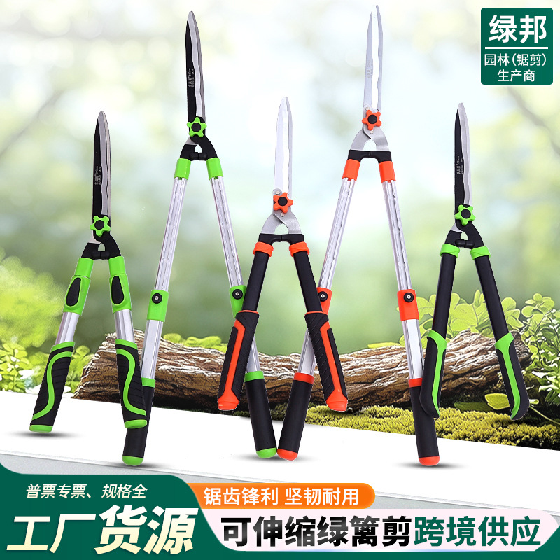 Fabricante de tijeras de podar retráctiles, tijeras para árboles frutales y setos de jardín, herramientas de jardinería y paisajismo, cortasetos.