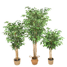 ���Ʒ����Ř���ľ�ɰ�߅�Ř�Gֲ�����̈��b٘��辰ͬ��̓r