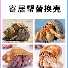 �ľ�з��Q���ݚ���Ȼؐ�����ݚ���Q�ľ�з�������쾰�ز�