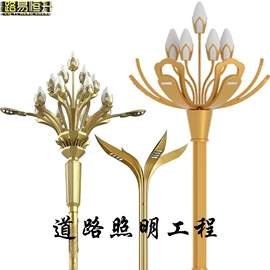 太阳能灯;庭院灯;道路照明灯