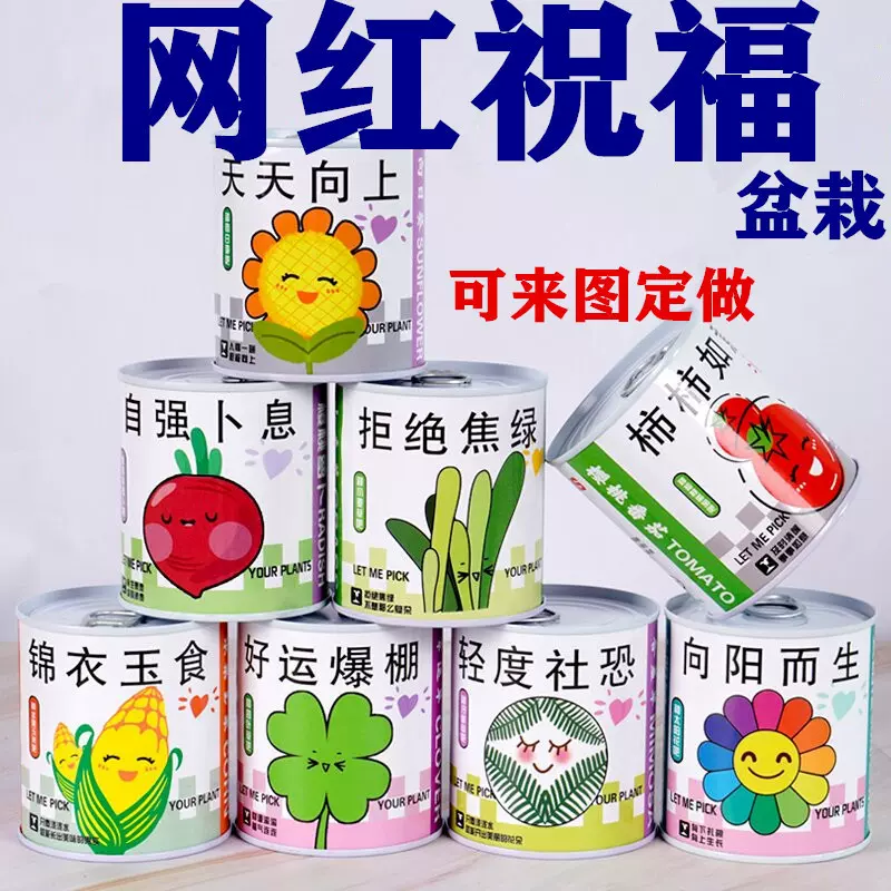 儿童罐头植物桌面迷你绿植好养创意小盆栽种植草莓向日葵种子种花