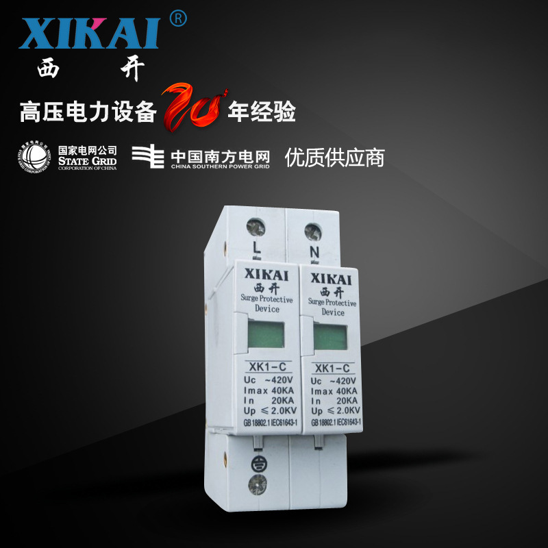 厂家直销供应电涌保护器防雷开关避雷型C 2P 20-40KA浪涌保护器