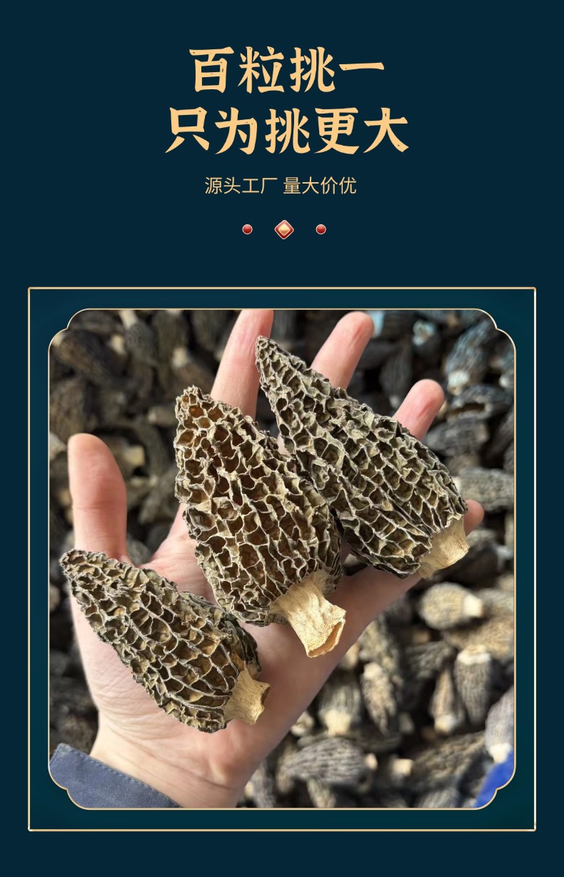 Fresh Morel Mushrooms Yang Du Jun 500g Jilin Origin Direct Supply quality and texture