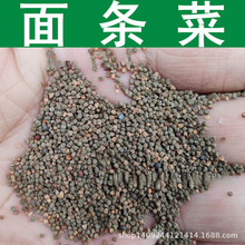 �羳�N�Ӳ�һ�ӵ���l�˿��������߹���ƿ����l���Ѽ�=��