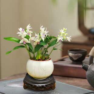 �����������ˮʯ���m ���_�����҃ȿ͏d����Gֲ�������� ���B��