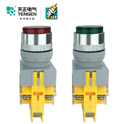 天正LAY7-11DN带灯按钮开关启动停止自复位11DZS自锁220V 24V380V