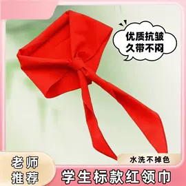 清洁球/刷;厨房小工具;衣钩/挂钩