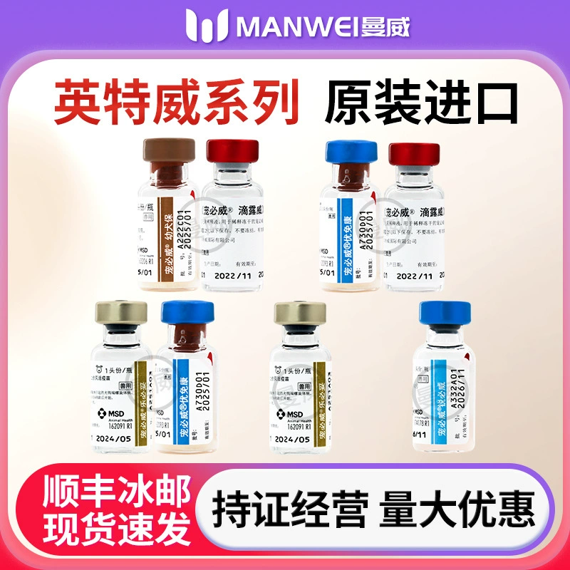 Вакцина против собачьих щенков против собак Inway 2 set six six sincy caccy vaccincat set set cat