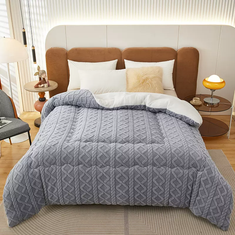 新款冬天塔芙绒被子秋冬款双面加绒被芯加厚保暖冬被家用卧室冬季