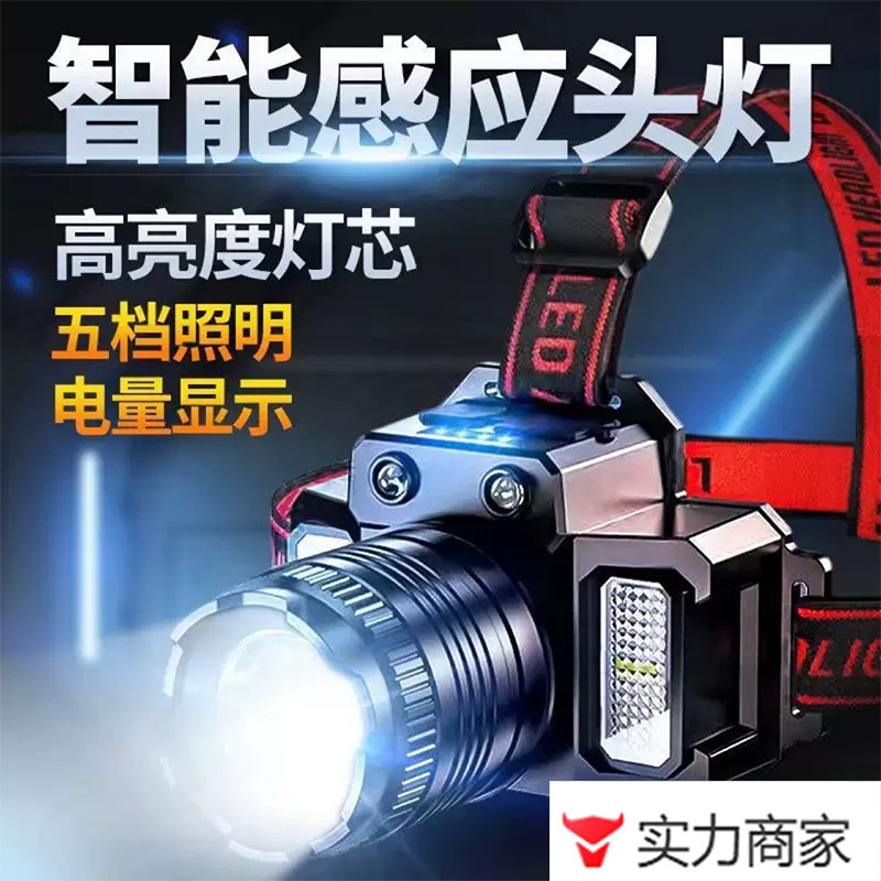 2025新款超亮感应头灯持久续航充电家用户外LED头灯夜骑钓鱼头灯