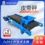 调速自动称量物料皮带秤