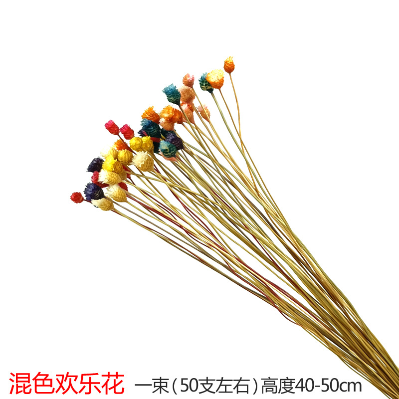연꽃색 혼합색 행복한 꽃다발