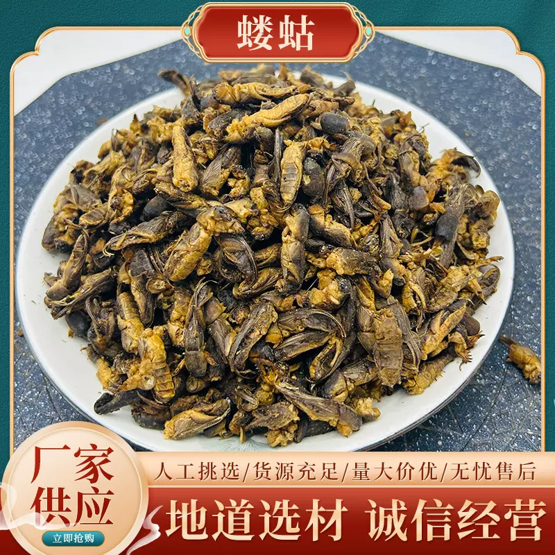 蝼蛄中药新货500g蝼蛄干中药材蝲蝲蛄拉拉蛄地狗土狗子地牯牛蝼蝈