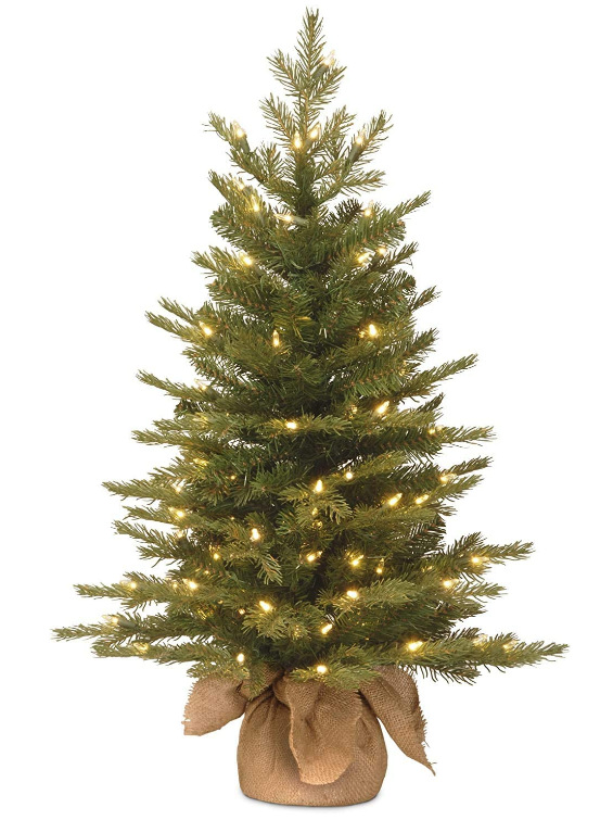 88bc305cad922415bbfc9ddcbb8d55