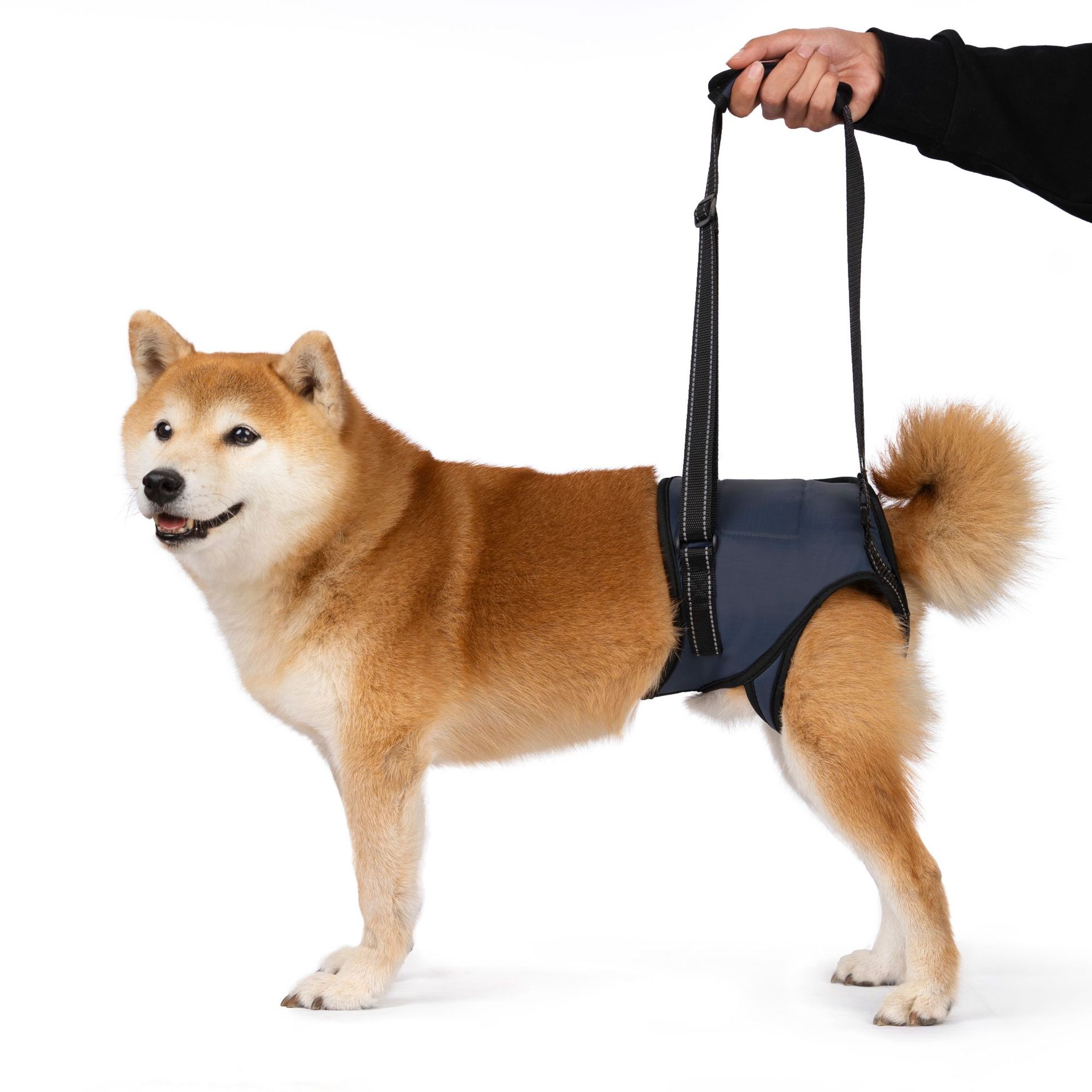 Cinto de suporte para patas traseiras de cães idosos_voghion.com