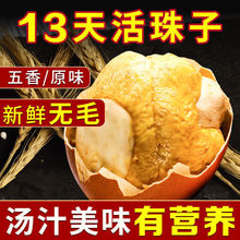 ������13������ζ���rë���_����ʳȫ��oë䓻���ϲ���u�ߵ����l