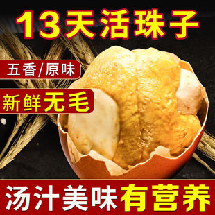 ������13������ζ���rë���_����ʳȫ��oë䓻���ϲ���u�ߵ����l