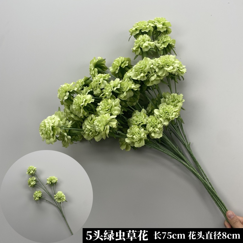 녹색 5개 동충하초 꽃