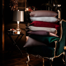 张沫凡推荐四川南充丝绸30姆米双面真丝枕套100桑蚕丝单个枕头套