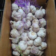 ���|��Ʒ�tƤ���ڼ������ԷN���N