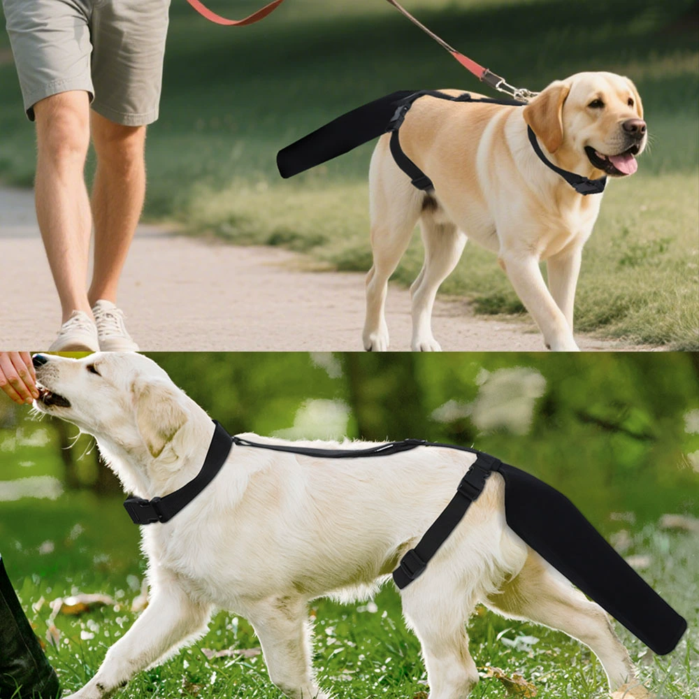 Cross-border dog tail hair loss care, injury repair, anti-licking and biting, adjustable wearable universal protective model