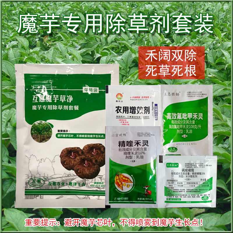 魔芋田套种除草剂魔芋除草剂魔芋专用魔芋地除草剂魔芋草