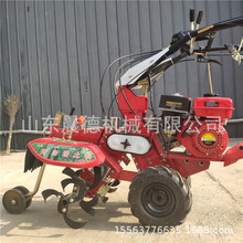 小型手扶式羊肚菌覆土机 辣椒种植起垄机大葱大姜开沟培土机