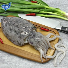 【顺丰包邮】福建东山岛新鲜墨鱼鲜活冷冻大目鱼乌贼海鲜水产墨鱼