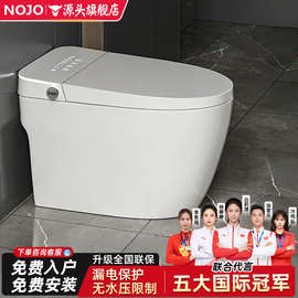 源头厂家全自动智能马桶轻智能即热双水路恒温加大座便器家用地排