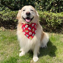 ������ˮ�����{���������Ǵ�����Ȯ�_ĦҮ��ë��Ȯ��������ͨ��