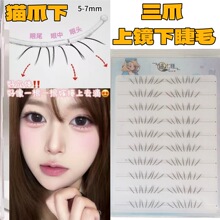 �¿���צ�½�ë�������z�W�W�I��냺ֱ�ٽ�ë������Ȼ�p؈צ