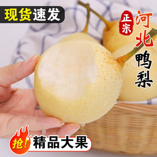 �ӱ�����ˮ�������rˮ�������������ֱ���ѩ����]��������10