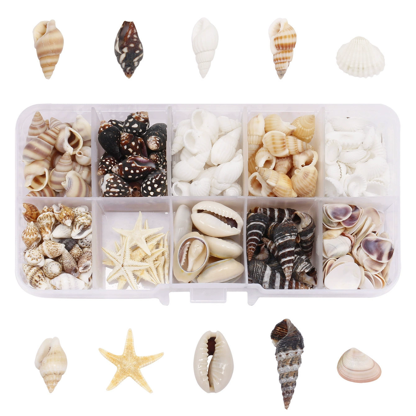 Organic decorations, aquarium, props set, pendant, starfish