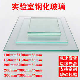 实验室专用钢化玻璃板定制小玻璃片高透玻璃小尺寸耐高温玻璃隔板