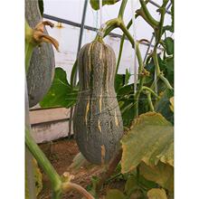 �۱��ϹϷN���ܱ��Ϲ��ر��߲����L��֮Ԫ�ļ����Ĵ���߲���