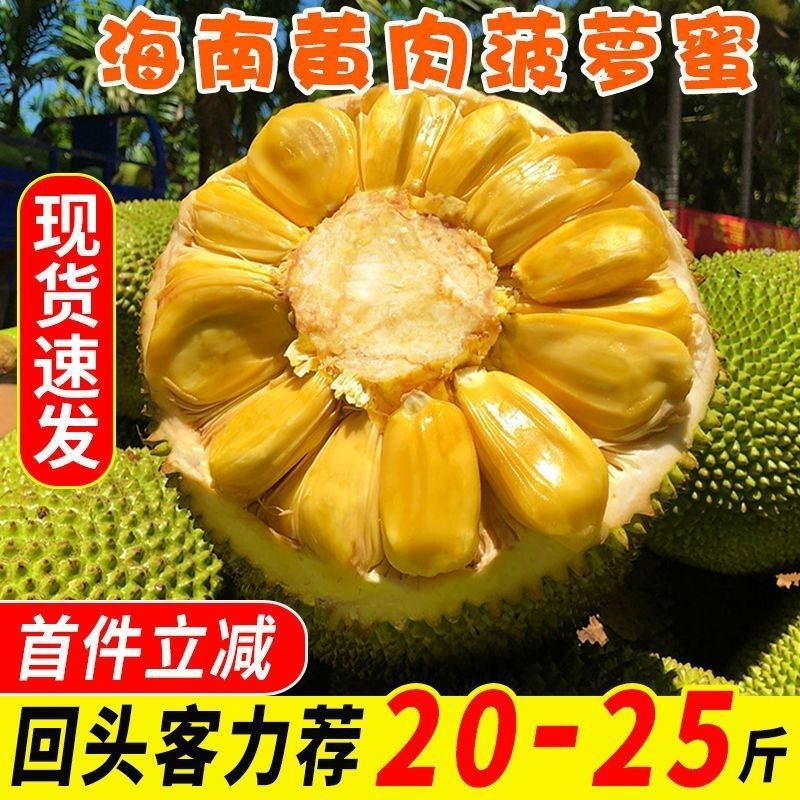 海南三亚菠萝蜜一整个新鲜水果当季黄肉木波罗蜜批发整箱包邮