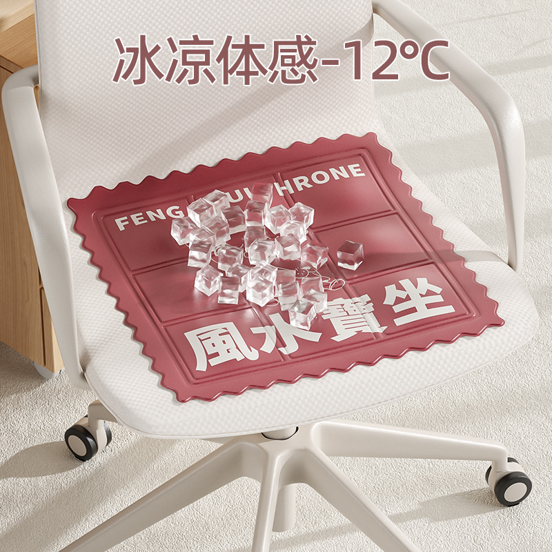 Multifunctional ice mat office cooling cooling gel cushion pet ice animal ice bag sleeping mat wholesale