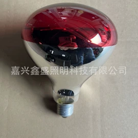 普通白炽灯;聚光灯泡;其他白炽灯